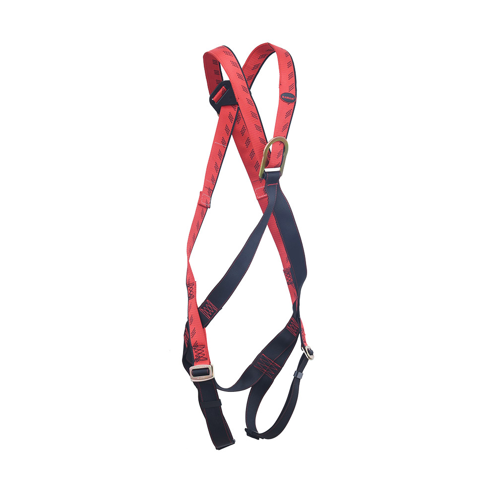 Full Body Harness for Controlled Descent (Class D) with 1 Adjustment ...