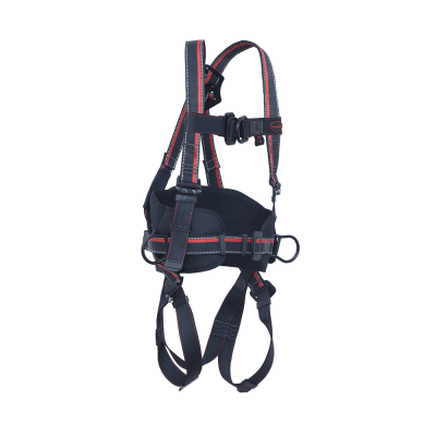 Fall Arrest Harness with 4 Adjustment & 2 Attachment Points